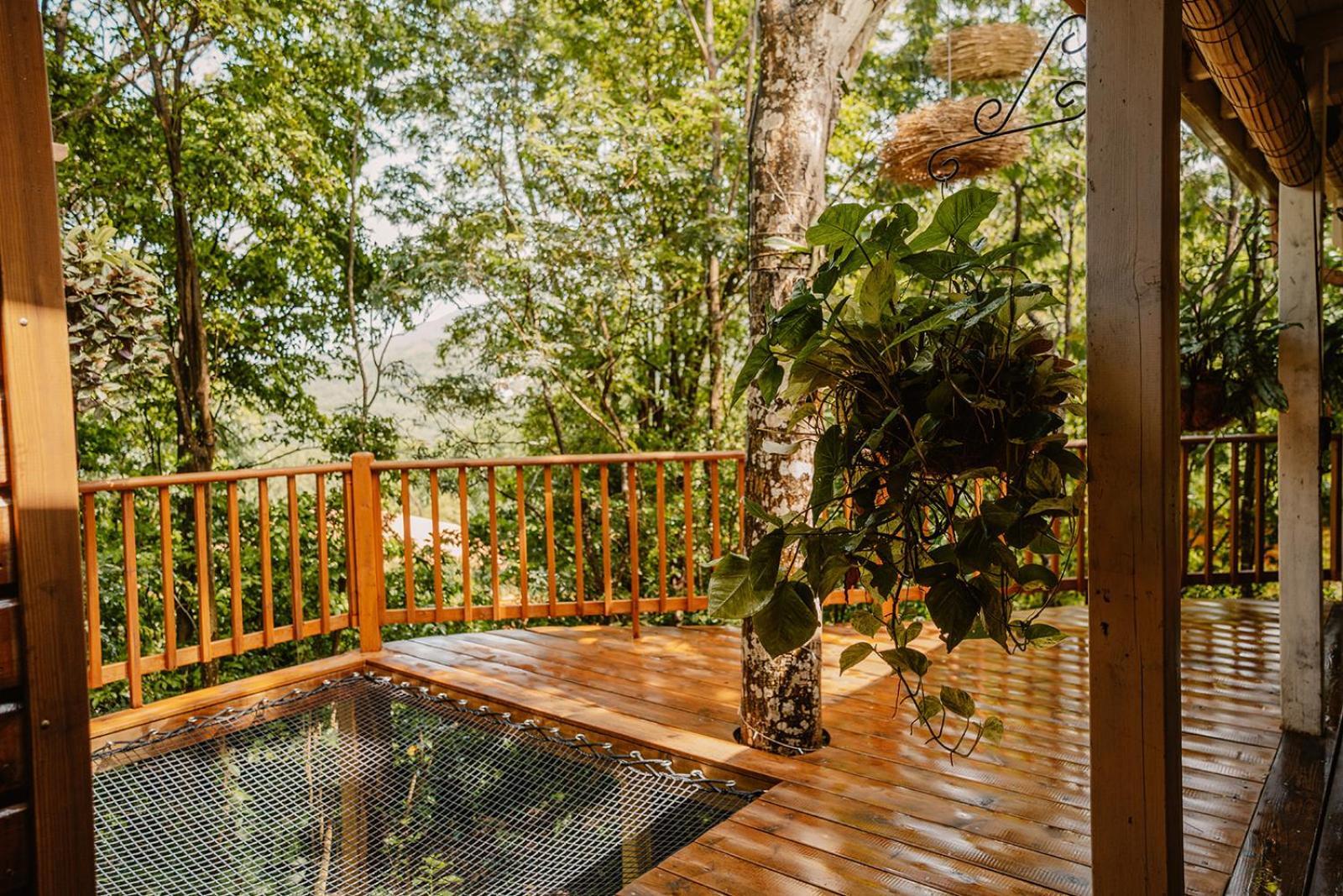 Au Jardin Des Colibris Ecolodge&Spa Десе Екстер'єр фото