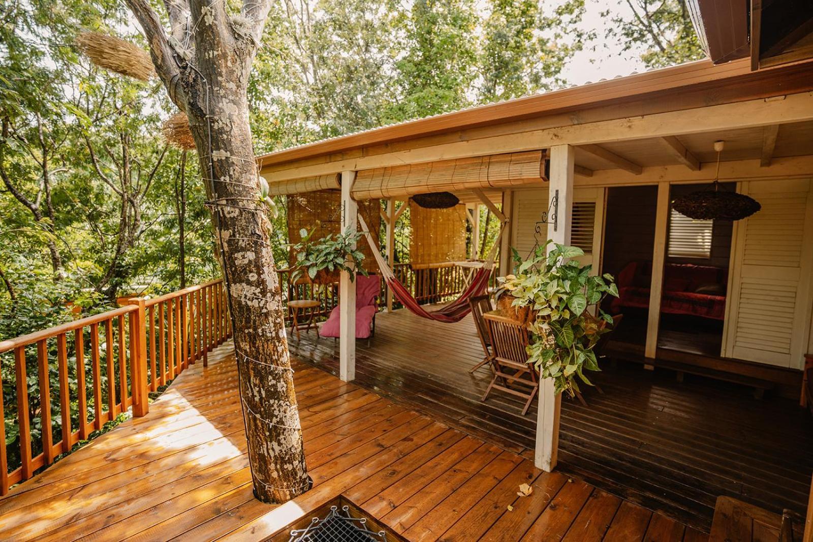 Au Jardin Des Colibris Ecolodge&Spa Десе Екстер'єр фото